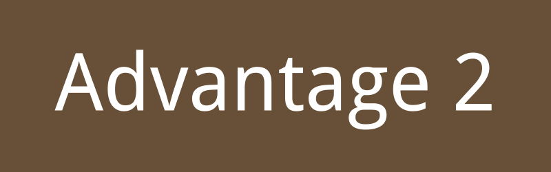 Advantage 2